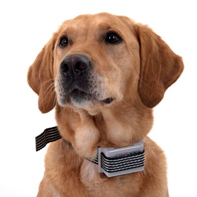 Collier anti-aboiement Jet Care- collier anti-aboiement