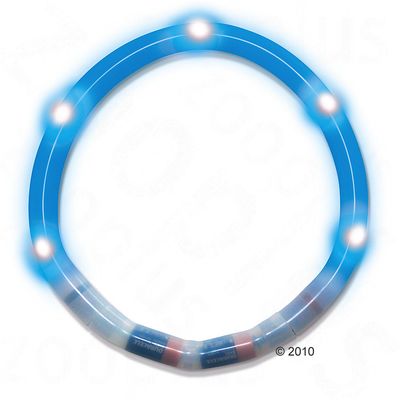 Collier lumineux pour chien, bleu- L 35 cm