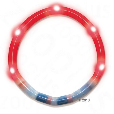 Collier lumineux pour chien, rouge- L 35 cm