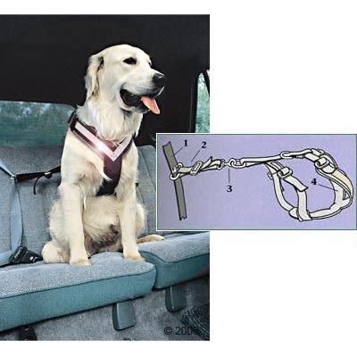 Allsafe Dog Safety Belt - Size L for Large Dogs