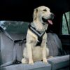 Ceinture de s�curit� pour chien Allsafe - taille S : pour petit chien
