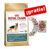 Royal Canin Breed +¡juego de cartas zooplus gratis! - - Labrador Retriever 30 (12kg)
