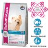 Eukanuba Breed Terrier Blanco West Highland - - 2,5 kg