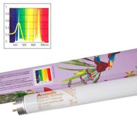 kaufen vergleich Arcadia Leuchtstoffr�hre Original Tropical     15 Watt, 45 Cm - Arcadia