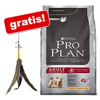  15 kg Pro Plan + kattenhengel 'Bird' GRATIS! - - Adult kip & rijst 