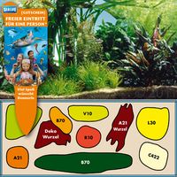 kaufen vergleich Dennerle Unterwasserlandschaft Blyxa Wiese     25 Pflanzen - Dennerle
