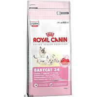  Royal Canin Babycat 34 - - 2 kg 