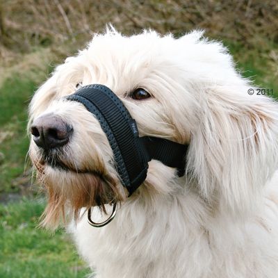 Muselière en nylon- taille XXL : circonférence du museau 28 à 33 cm