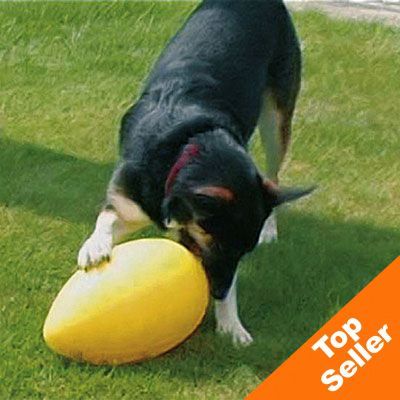 Dog Toy RunningEgg - yellow