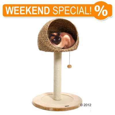 Banana-Leaf Kratzbaum Little Hole - - beige Preisvergleich