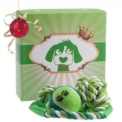 Geschenkbox fuer Hunde – 3-teiliges Set