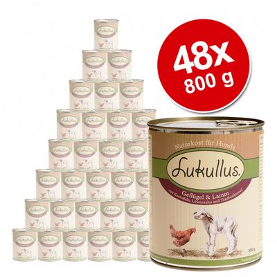 Grosses Lukullus Schlemmerpaket 48 x 800 g zum Sonderpreis! - Putenherzen & Gans