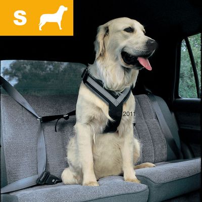 Kleinmetall Allsafe Sicherheitsgurt, Groesse S - fuer kleine Hunde