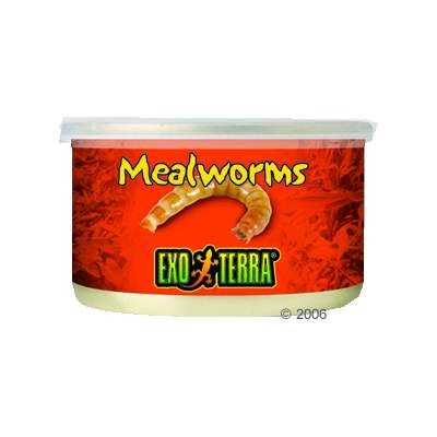Hagen Exo Terra Mealworms Reptile Food - 34 g