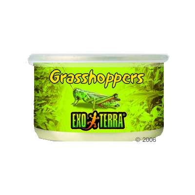 Hagen Exo Terra Grasshoppers Reptile food - 34 g