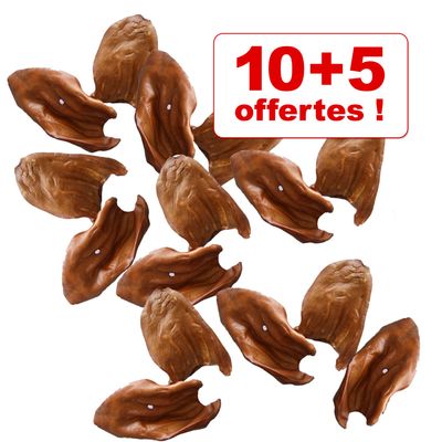 Oreilles de bA“uf A mA¢cher pour chien, 10 + 5 offertes - 10 friandises + 5 offertes