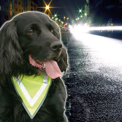 Foulard-réflecteur Safe & Shine- taille M : 45 x 23/20 mm