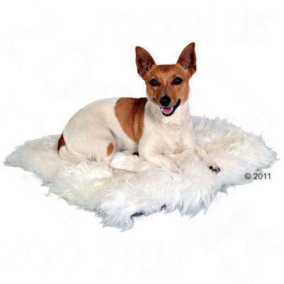 Coussin pour chien en laine de mouton- L 45 x l 45 cm
