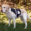 Chaleco reflectante para perros Trixie Flash - - Talla S: perímetro del abdomen 36 - 58 cm