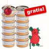 12 x 70 g Applaws +¡Ratoncito navideño gratis! - - Filete de atún y algas marinas