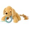 Jouet pour chiot en peluche Tommy - 1 jouet