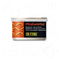 Hagen Exo Terra Mealworms Reptilienfutter 34 g