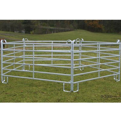 Round Pen - 25m Durchmesser 22 Panele