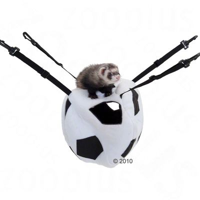 Marshall Soccer Ball Lookout for Ferrets - Dimensions 40 x 40 x 30 cm (L x W x H