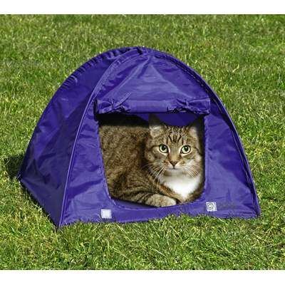 Kitty Camp Cat Tent 43.5 x 43.5 x 4 cm (L x W x H)