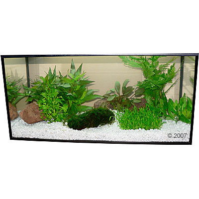 Plantes d´aquarium Zooplants ´´´´Petit bois´´´´- 9 plantes