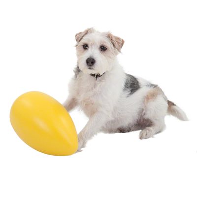 Jouet pour chien RunninGegg- 1 jouet (bleu)