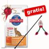 5 kg Hill's Feline +�juguete Funny Santa gratis! - - Adult Sensitive Stomach