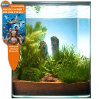 kaufen vergleich Dennerle Nano Landschaft Moos Cube 20 Liter     8 Pflanzen - Dennerle