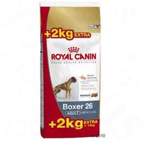 Royal Canin Breed 12 kg 2 kg gratis Golden Retriever Adult