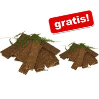 150-g-50-gratis-200-g-canibit-strauenfleisch-kausnack-200-g-strauen-fleischstreifen 150 g + 50 gratis! 200 g CANIBIT Straußenfleisch Kausnack - - 200 g Straußen Fleischstreifen