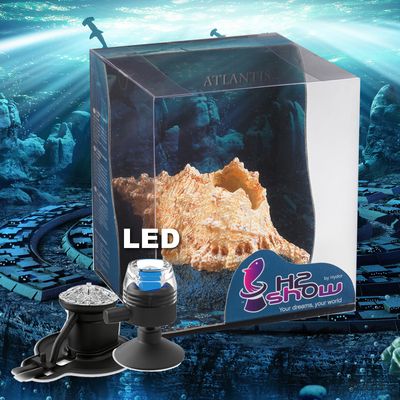 Coquillage de mer Atlantide H2show avec LED et aérateur- L 8,5 x l 10 x H 15 cm