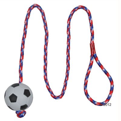 Hundespielzeug Ball am Seil - &Oslash; Ball 6 cm, Laenge Seil 100 cm