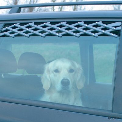 Grille à air pour chien- gris