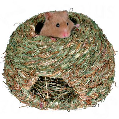Niche d´herbe pour rongeur- 16 cm de diamètre
