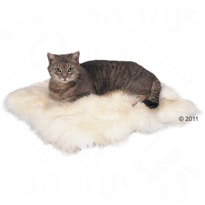 Schaf-Fell Katzenkissen – 45 x 45 cm