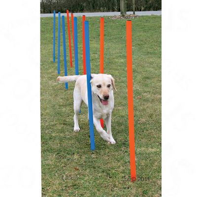 Agility Parcours Slalom-Stangen - L 100 cm x Ø 3,3 cm