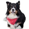 Pa�uelo para perros con puntos - - Talla M : 50 cm per�metro del cuello