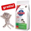 Hill's Puppy + juguete de algod�n Mono �gratis! - - Hill's Puppy con cordero y arroz (12 kg)