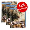 Sticks Catessy 45 friandises - lapin, dinde & levure