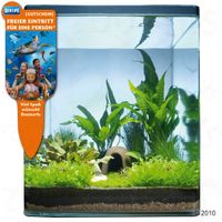 kaufen vergleich Dennerle Nano Landschaft Sunrise Island 30 Liter     14 Pflanzen - Dennerle