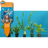 kaufen vergleich Dennerle Aquarienpflanzen Barsch Sortiment     5 Pflanzen - Dennerle