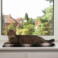 Fensterbrettauflage Fiona - - L 60 x B 26 x H 2 cm