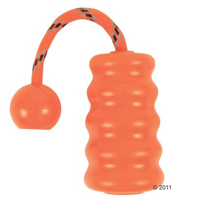 Jouet pour chien Trixie Fun-Mot- 1 jouet