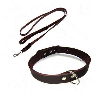 Lot Heim marron : collier + laisse en cuir pour chien- lot collier L 60 cm + laisse L 200 cm