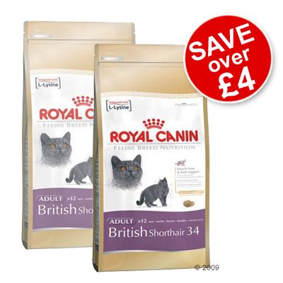 Royal Canin British Shorthair 34 Economy Pack 2 x 10 kg